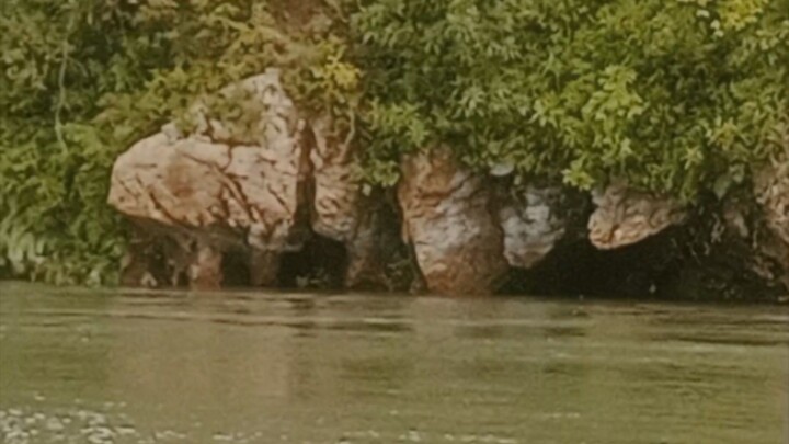 looking sa mga treasure sign sa gilid Ng ilog