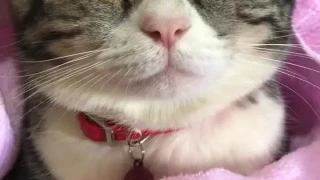 ต้าวชิม่อน🥰❤️