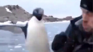 If animals could talk!!