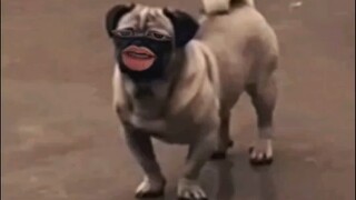 修勾都emo