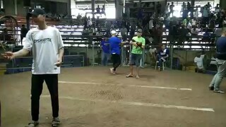 Lemon Spangle win @Pilar Town Coliseum