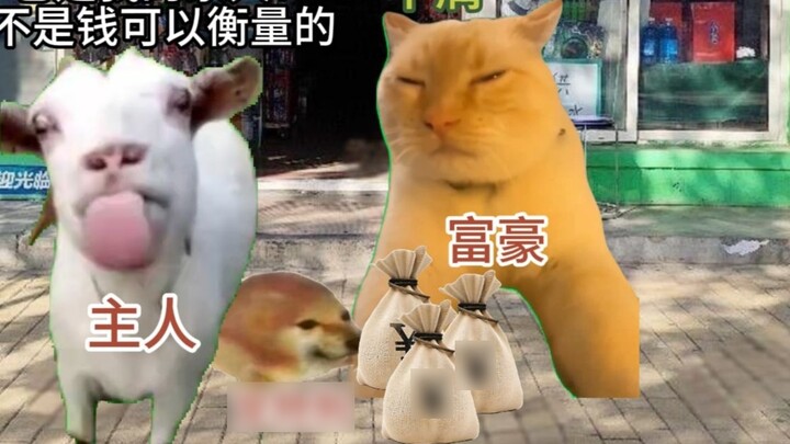 It's my family