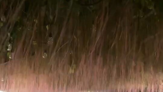 ᝰꫛꫀꪝ:ᥫᩣ ²⁰²⁵/₁₀. 19🥂📚◡̈…☘️生活嘛！快乐就好 🌿🌸人生哪有那么多为什么～🌺🎀🍒
