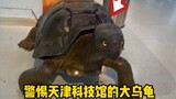 Don't sit casually on the big turtle in Tianjin Science and Technology Museum, as it may cause socia
