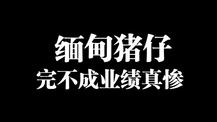 ลูกหมูที่ทำยอดไม่ได้ในภาคเหนือของเมียนมาร์