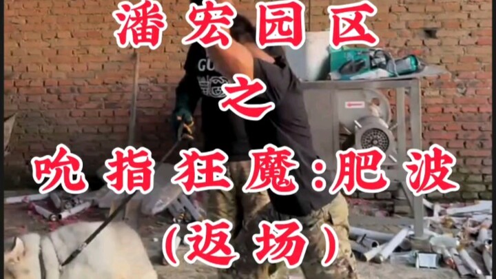 สวนอุตสาหกรรมพานหง จอมดูดนิ้ว: เฟยโป (กลับมาอีกครั้ง)