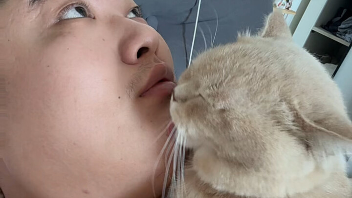 Lick~