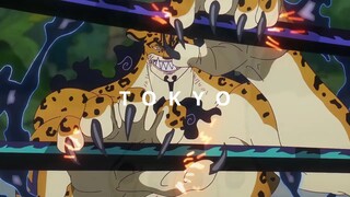Full Fight