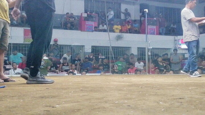 2 hits tsamba champion