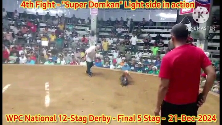 Super Domkan "Light side" - "Cutting + Speed + Power + Gameness" - 2024 WPC 12-Stag National Derby