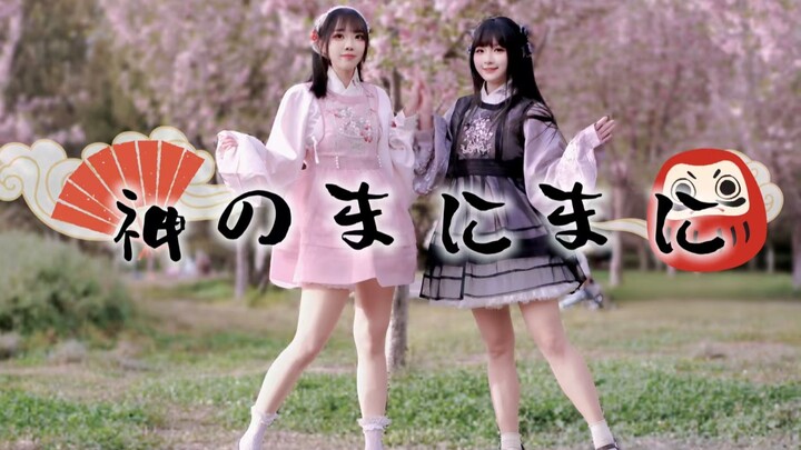 【غوف × مجهول】إرادة الآلهة العفوية 🌸 إرادة الآلهة 🌸 رائع جدًا: نسخة الكرز القديمة للثنائي!