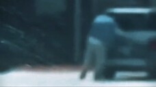 Ryan palmeter edit 2