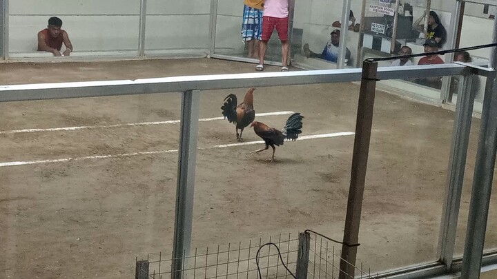 flarry eye Boston June Sevilla line