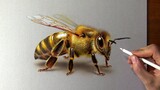 画一只大蜜蜂，这个可没实物哦！