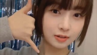 "Shimoshimo" đến từ Naoi Rei