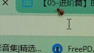 蛛哥我今天必须抓住你