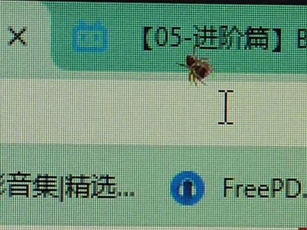 蛛哥我今天必须抓住你
