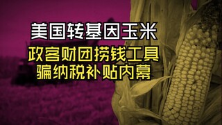 การเปิดโปงห่วงโซ่อุตสาหกรรมสีดำของข้าวโพดดัดแปลงพันธุกรรมในสหรัฐฯ: เครื่องมือที่นักการเมืองและกลุ่มพ