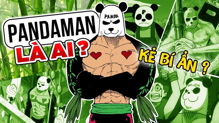 Pandaman  Kẻ Bí Ân, Muôn Hình Vạn Trạng Luôn Hóng Hớt, Ngấm Ngầm Tham Gia Vào Event  Trong One Piece
