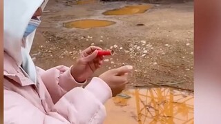 จุดพล