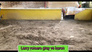 Larry romero gray vs Huron Lemon