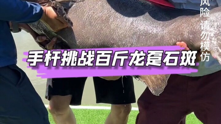 6.3-Meter Handline Challenge: A Hundred-Jin Giant Grouper