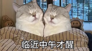 我和男友居家日常