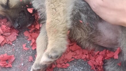 No matter what I do, nothing happens anymore.