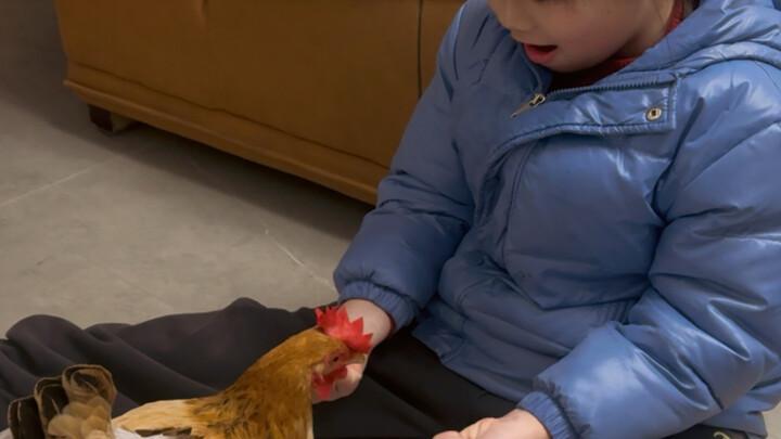 “เพื่อนใหม่” ของลูกสาวกลับกลายเป็นแม่ไก่ตัวหนึ่ง