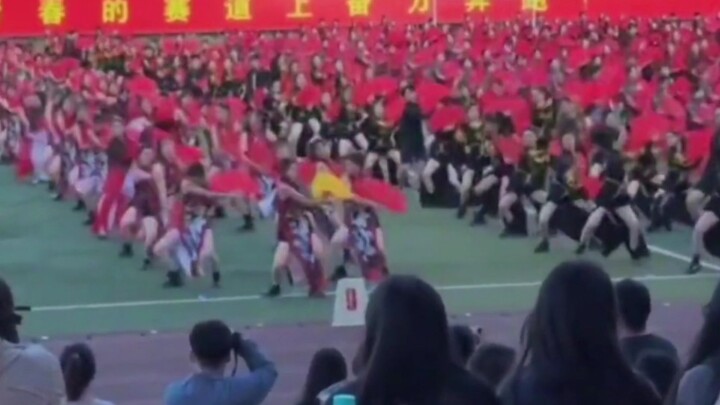 诸位军师，此阵如何？
