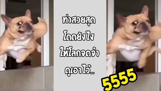 โดดแบบนี้ จะถึงพื้นไหมเนี่ย ท่าสวยแต่จบสวยไหมมาดู รวมคลิปฮาพากย์ไทย