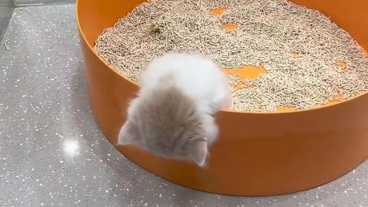 Mom, I haven’t slept for three seconds!