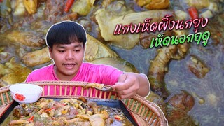 แกงเห็ดผึ้งนอกฤดู แซ่บๆ บรรยากาสทุ่งนายามเเลง