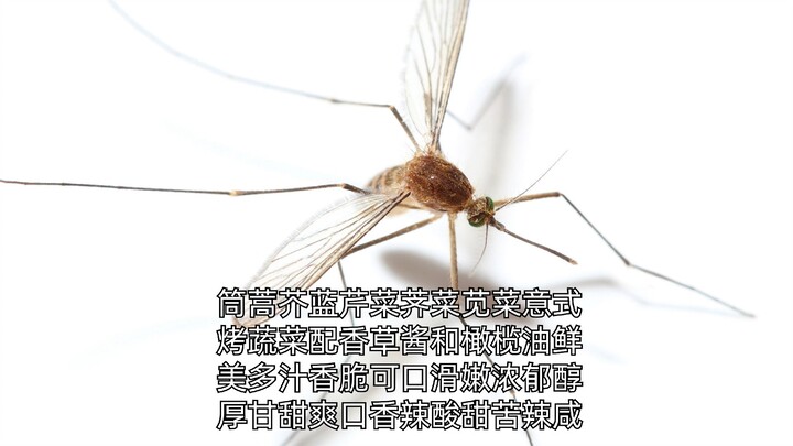 อ๊าาา ฮาคิมิที่รัก หนูเป็นเค้กชิ้นเล็กๆ เลย!