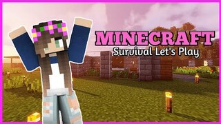 Minecraft Survival Let's Play Episode 13 | Villager Breeder