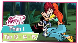 Winx Club - Phần 1 Tập 13-14-15 - (LỒNG TIẾNG)