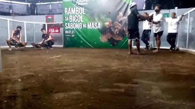 NCB signature line sweater gold