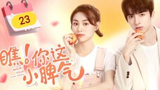 🇨🇳 Wow! Your Little Temper (2023) | Episode 23 |🔒Finale 🔒| Eng Sub |(瞧!你这小脾气 第23集)