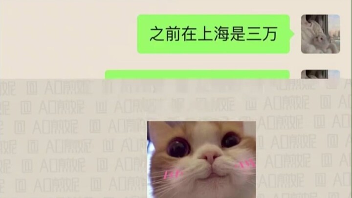 เมืองเล็กๆ ดูเหมือนจะลงชนบท ที่แท้กลับขึ้นฝั่งเสียเอง