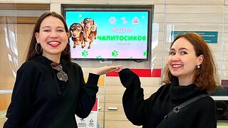 РАДИ ЧАПИТОСИКОВ В КАЗАНИ БЫЛ САЛЮТ! 🙈🥳💕