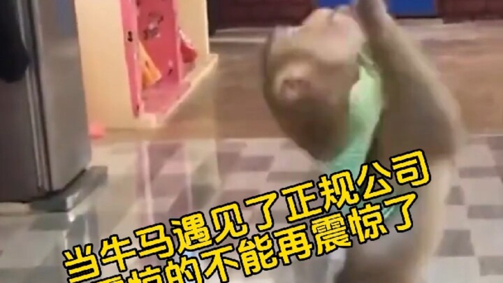 Para pekerja keras bertemu dengan perusahaan profesional—benar-benar bikin kaget! #TakTerduga #Gila 