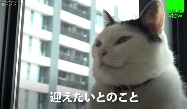 บริษัทแห่งหนึ่งในญี่ปุ่นไม่เพียงอนุญาตให้พนักงานเลี้ยงแมวได้ ยังมีเงินอุดหนุนเลี้ยงแมวรายเดือนอีกด้ว