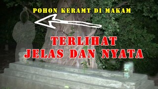 terlihat jelas dan nyata ternyata ada di pohon keramat ini