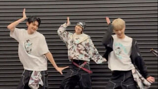 رياح حب شنغهاي ما زالت تهب على الشاطئ