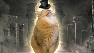 【Lord of Mysteries\Cat Meme】Daily Meeting