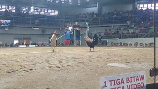 6/10 hulllllliiii🤭