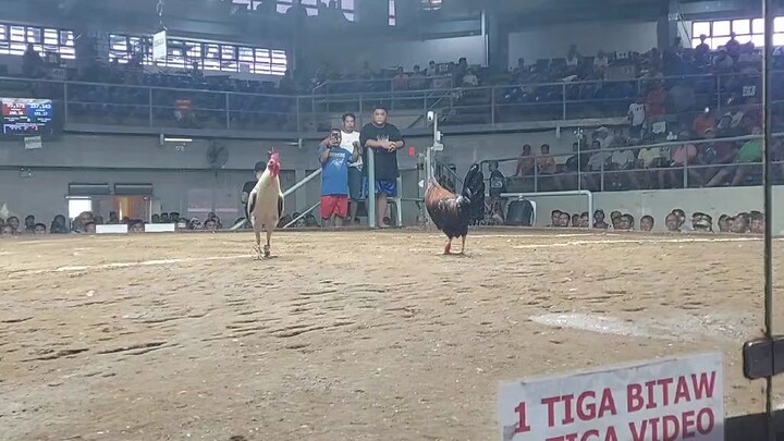 6/10 hulllllliiii🤭