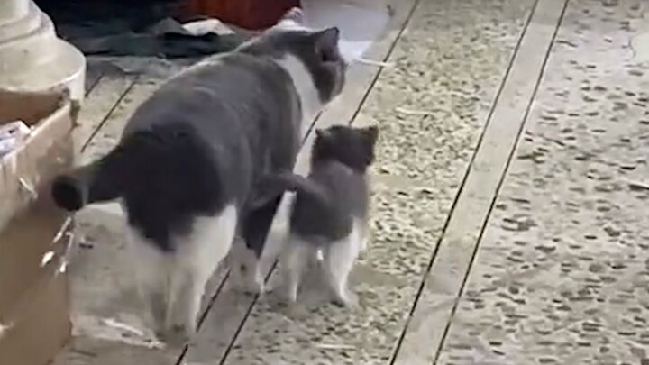 “Chữa lành nỗi buồn của bạn”