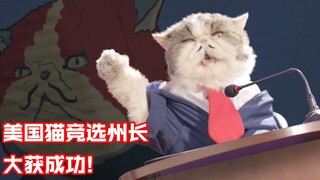 猫咪为了逃税，跑去竞选美国州长，怎料人气大增还当上了总统！