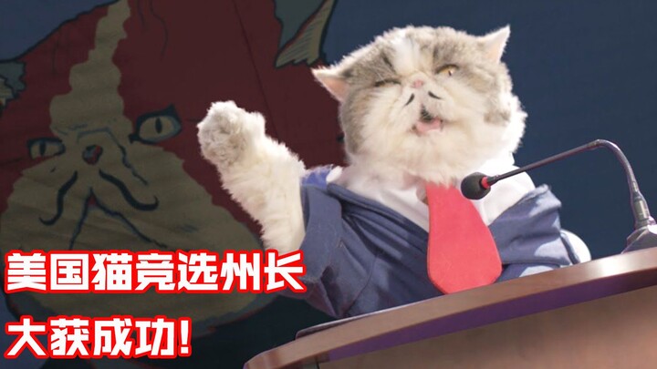猫咪为了逃税，跑去竞选美国州长，怎料人气大增还当上了总统！